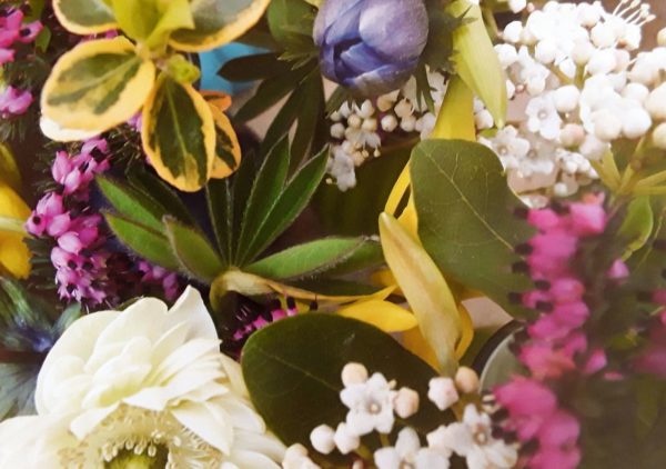 Greeting Cards (A5) - Image 6