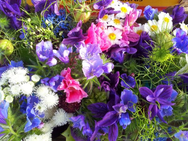 Greeting Cards (A5) - Image 7