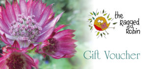 Thai Yoga Massage Gift Voucher