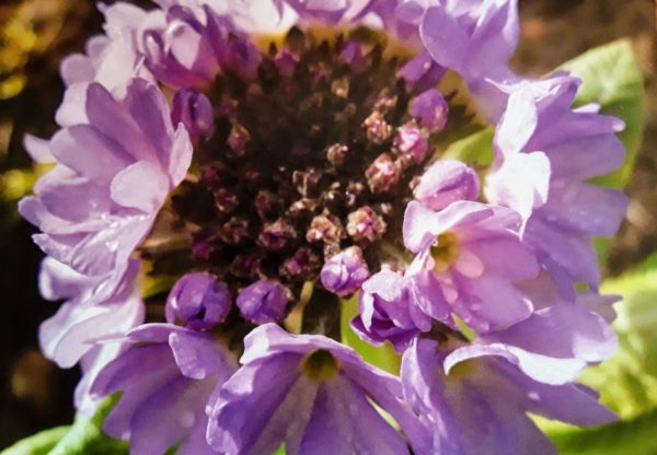 Greeting Cards (A5) - Image 12