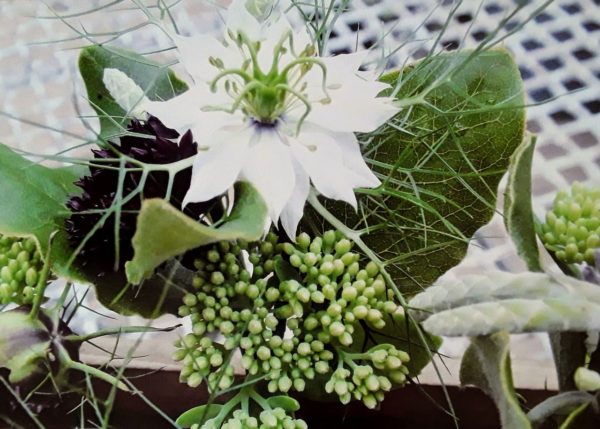 Greeting Cards (A5) - Image 15