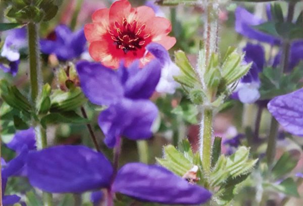 Greeting Cards (A6) - Image 3