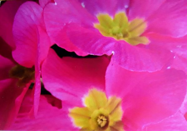 Greeting Cards (A6) - Image 5