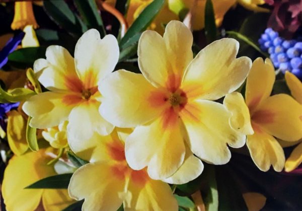 Greeting Cards (A6) - Image 7